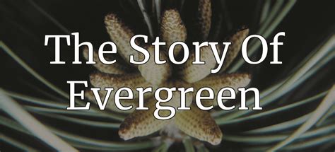 The Story of Evergreen - Evergreen Magazine