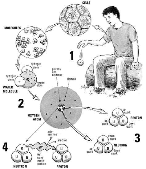 NOVA | Teachers | Elegant Universe, The | Student Handout: Finding ...