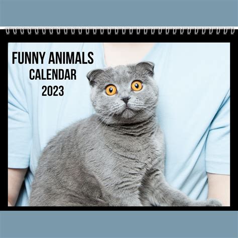 Funny Animals Calendar 2023 Gift Idea for Funny Animals Lovers - Etsy