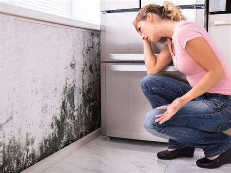 Preventing Mold After Floods | homeonlinetips.com