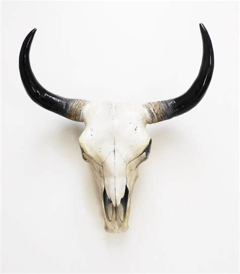 Animal Skulls With Horns