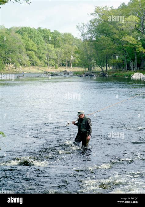 A man fishing in a river, Sweden Stock Photo - Alamy