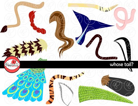 Whose Tail: Animal Digital Clipart Pack 300 Dpi Tiger Alligator Horse ...