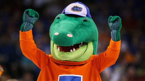 Gators' mascot uses his head to protect boy from foul ball - TODAY.com