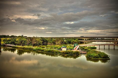 Floating Wetlands | Ecogardens