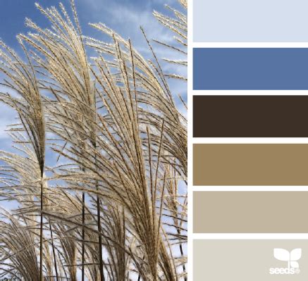 Autumn Sky | Design seeds color palette, Design seeds, Seeds color