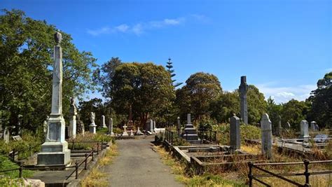 Botanical Gardens (Napier, New Zealand): Top Tips Before You Go (with Photos) - TripAdvisor