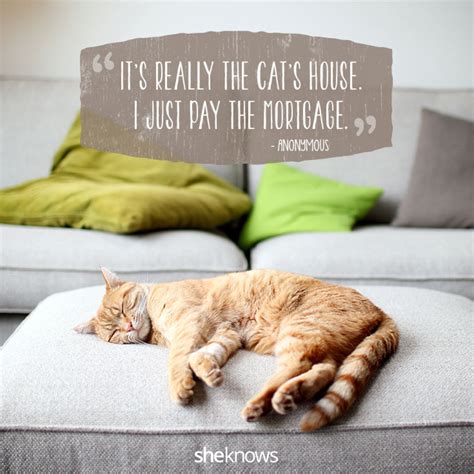 50 Cat Quotes That Only Feline Lovers Would Understand | Cat sleeping ...