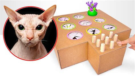 DIY Cardboard Whack-A-Mole | Cats Approve 🐈 - YouTube