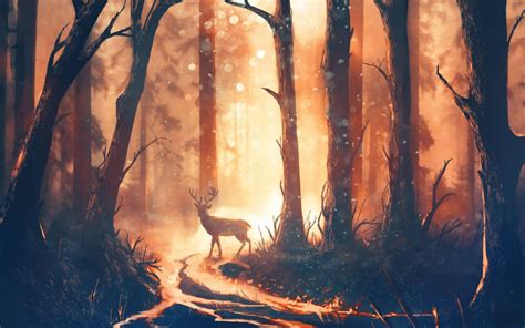 Deer in Forest Wallpapers - Top Free Deer in Forest Backgrounds ...