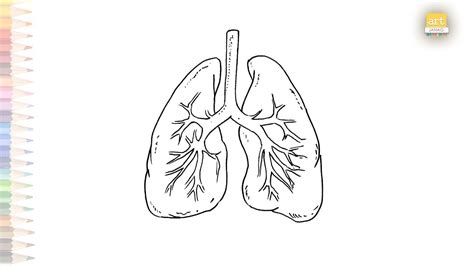 Aggregate more than 133 lungs easy drawing best - seven.edu.vn