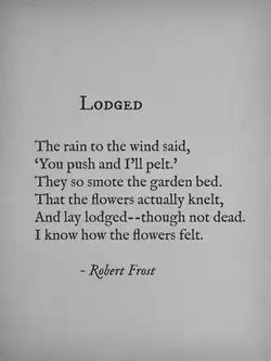 Robert frost short Poems