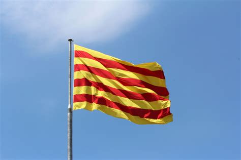 El català escala posicions en el rànquing mundial