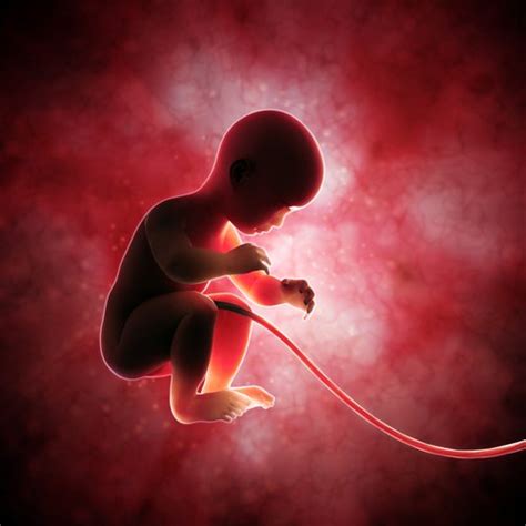 Umbilical Cord Blood Transplant | Financial Tribune