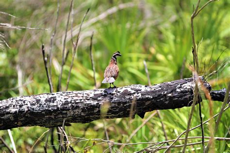 ☀️T... - Pasco County Parks, Recreation, and Natural Resources