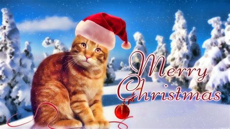 Christmas Cat Wallpapers - Wallpaper Cave