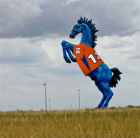 Denver's Blue horse at Denver International Airport. Ready for SB 50 ...