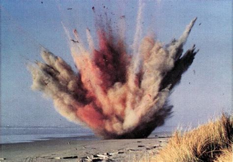 Florence, Oregon's Exploding Whale And The Wild Story Behind It