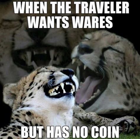 Laughing cheetah meme>Laughing Tom cruise meme : r/memes