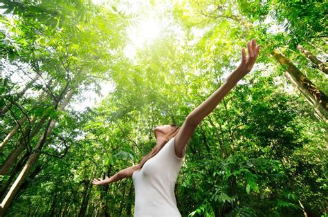 Reconnecting With Nature - A Complete Guide - The Soul Connection