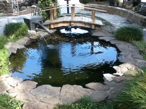 small pond bridges | Huge outdoor pond with little bridge. | Outdoor ...