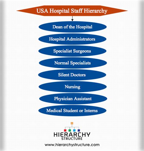 USA Hospital Staff Hierarchy|Hierarchystructure.com