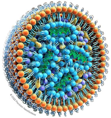 Lipid Nanoparticles