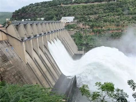 Bhakra Nangal Dam Facts, Importance | Environment Buddy