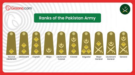 A Complete Guide to Navy, Air Force and Army Ranks Pakistan (2023)