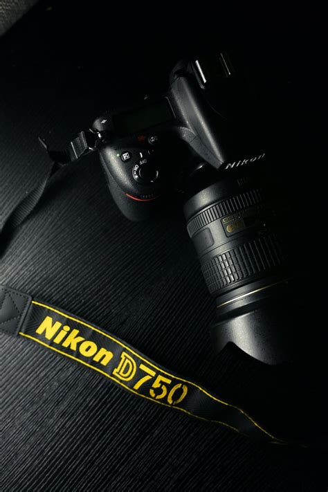 Nikon D750 Review | An Affordable Camera Worth Trying? | Wedio