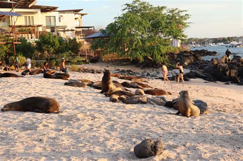 Visit San Cristobal - Galapagos Islands – Ecuador Eco Adventures