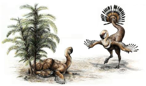 Dinosaurs May Have Shaken Their Tail Feathers to Woo Mates | WIRED