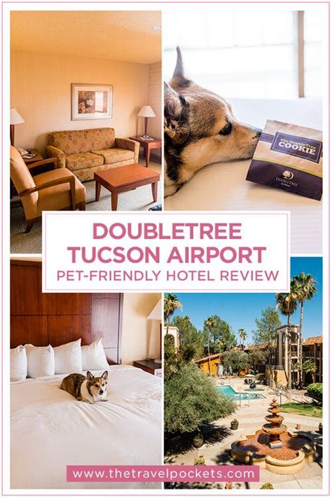 Pet-Friendly DoubleTree Suites Tucson Airport Hotel Review - Travel Pockets | Airport hotel ...