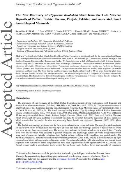 (PDF) The New Discovery of Hipparion theobaldai Skull from the Late Miocene Deposits of Padhri ...