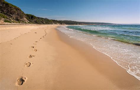 Top 10 beaches in NSW national parks | NSW National Parks