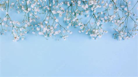 Baby Blue Background Wallpaper