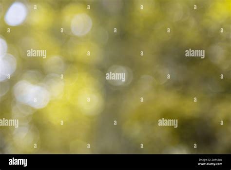 lens flares, blurred bokeh lights in white on yellow for web design ...