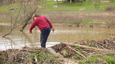 Pittsburgh, PA to Columbus Ohio Beaver Dam Removal- Animal Control - YouTube