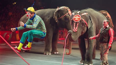 The circus elephants' final tour