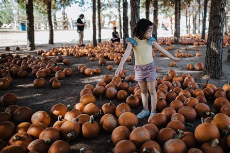 Taking The Kids To The Pumpkin Patch • Cherishing Life's Sprinkles®