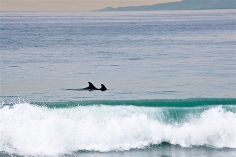 Torrance Beach – Beaches & Harbors