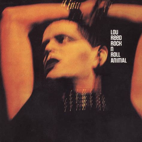 CD Album Lou Reed - Rock N Roll Animal (Live Recording, 2000) | eBay