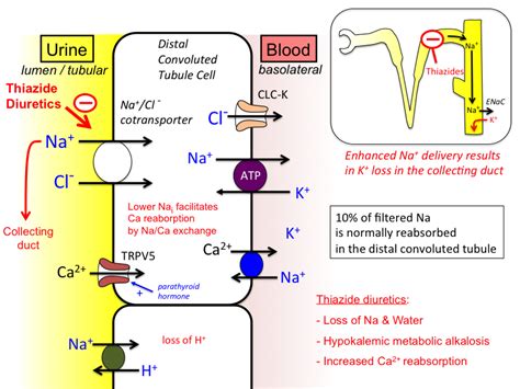 diuretic_pharm [TUSOM | Pharmwiki]