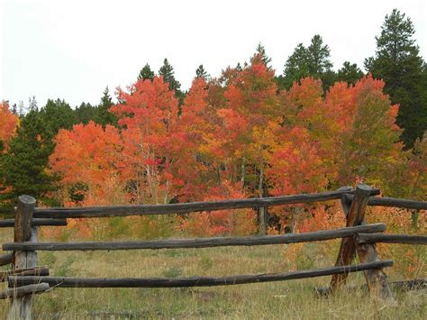 Explore Colorado: Golden Gate Canyon State Park ~ Fall Color