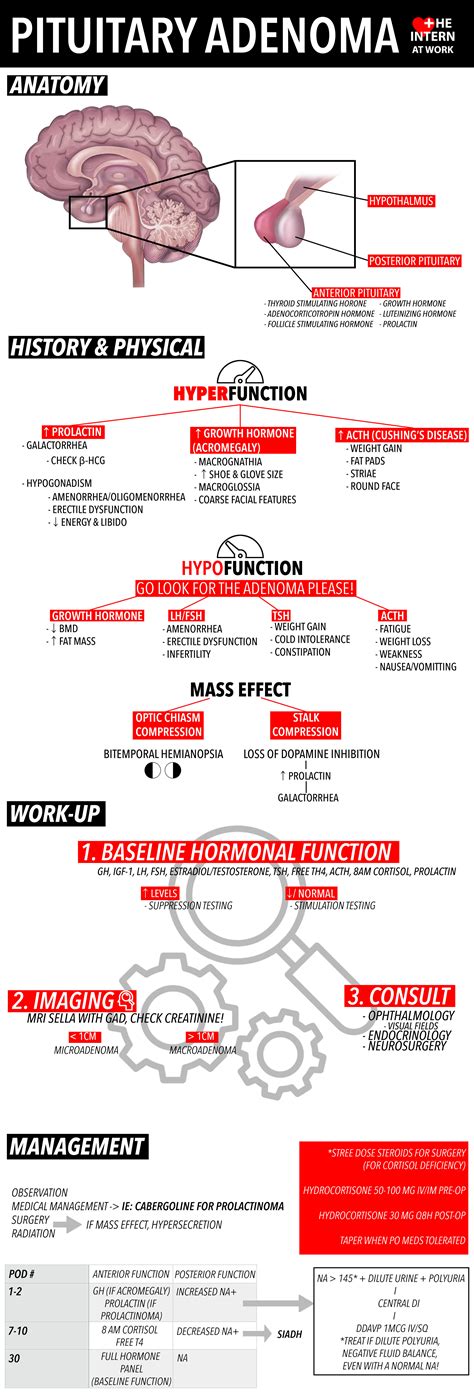 Pituitary Adenoma — The Intern at Work