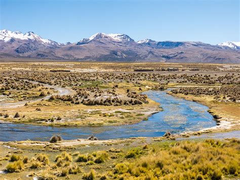 PUNA: qué es, características, flora y fauna - Resumen, fotos y mapa