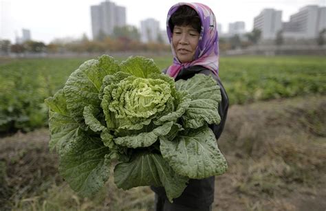 What If North Korea Can Feed Its Own People?