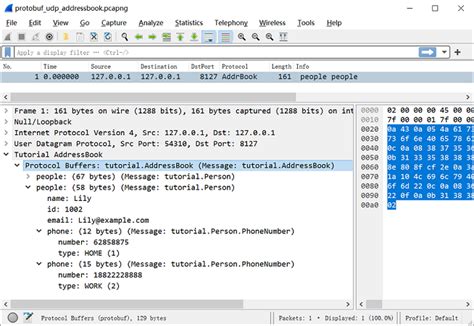 Protobuf UDP Message and its Types in Wireshark - GeeksforGeeks