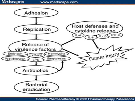 Bacterial Pathogenesis