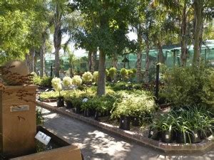 The Cape Garden Centre Review – The Gardening Blog